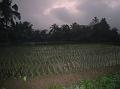 2007 07 16 BALI 0001